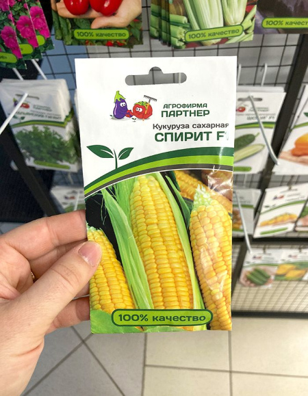 Кукуруза сахарная Спирит F1